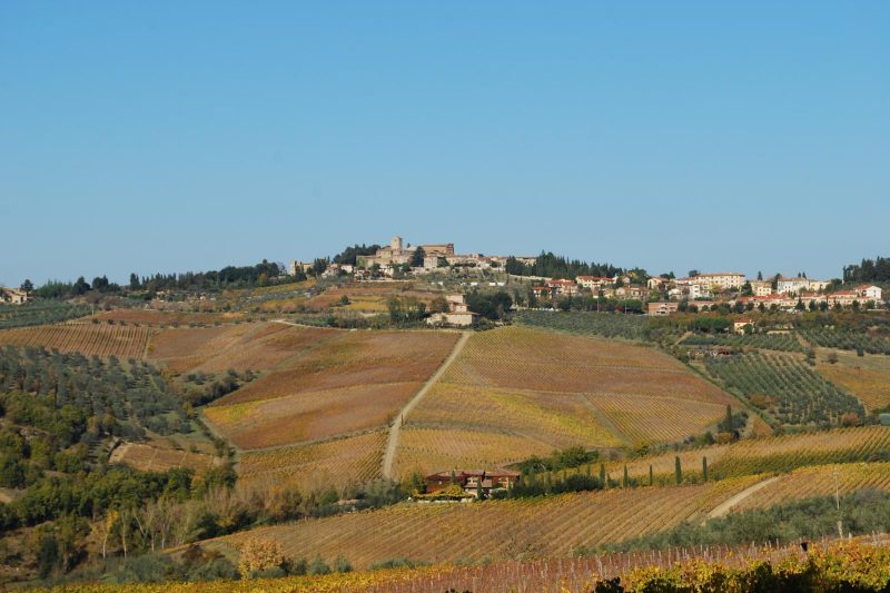 Panzano: the organic heart of Chianti Classico – A story of soil, science, and community