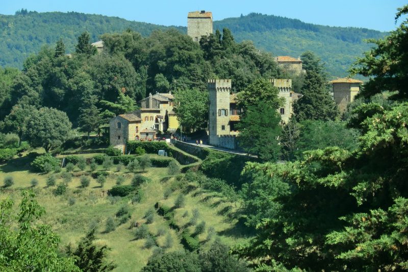 The grapes of the Conca d’Oro: a varietal atlas of Panzano in Chianti