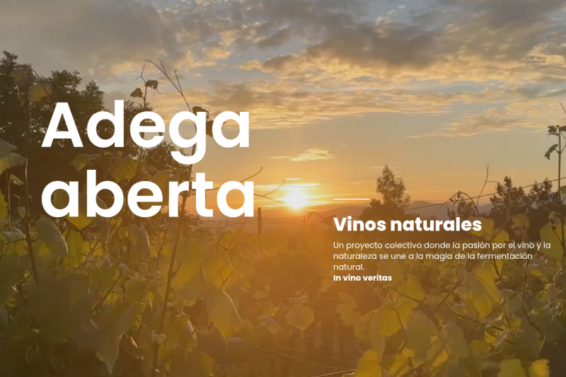 Spain’s Raw Heart: some voices of vino natural
