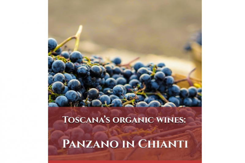 The book I had to write: discovering the other story of Chianti Classico